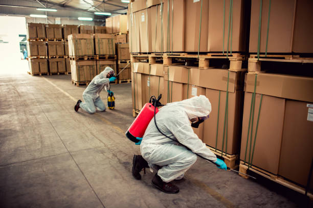 Reliable Clarkdale, AZ Pest Control Solutions