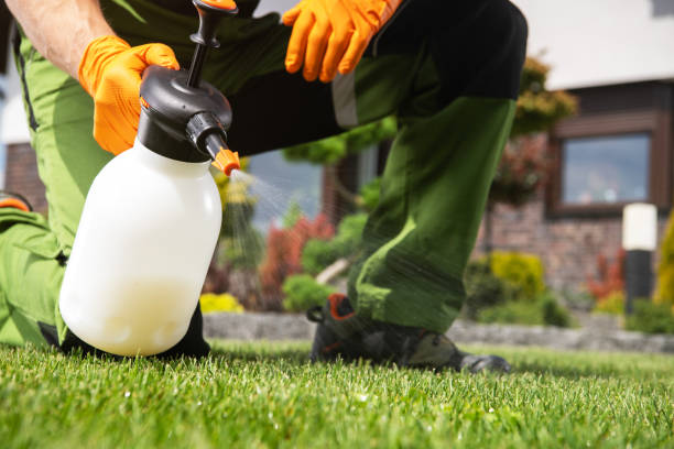 Best Affordable Pest Control Services  in Clarkdale, AZ